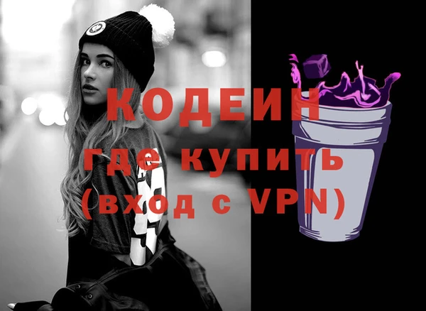 индика Тында