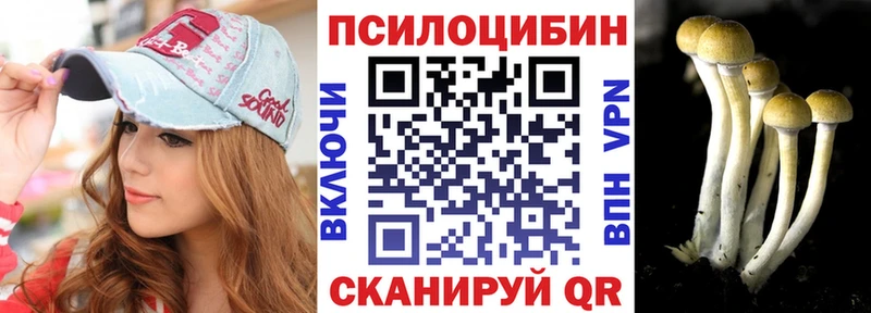 нарко площадка формула  продажа наркотиков  Далматово  Галлюциногенные грибы Psilocybe 