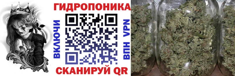 kraken ССЫЛКА  наркотики  Далматово  Канабис Ganja 
